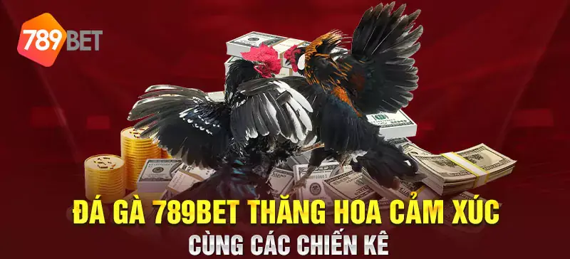 da ga truc tuyen tren 789bet