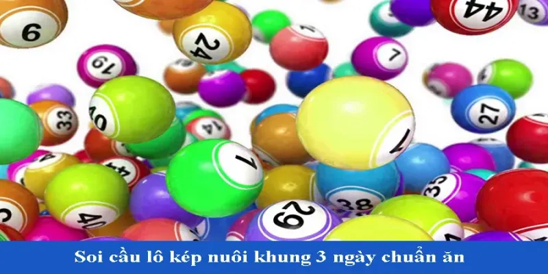 Nuôi lô kép khung 3 ngày